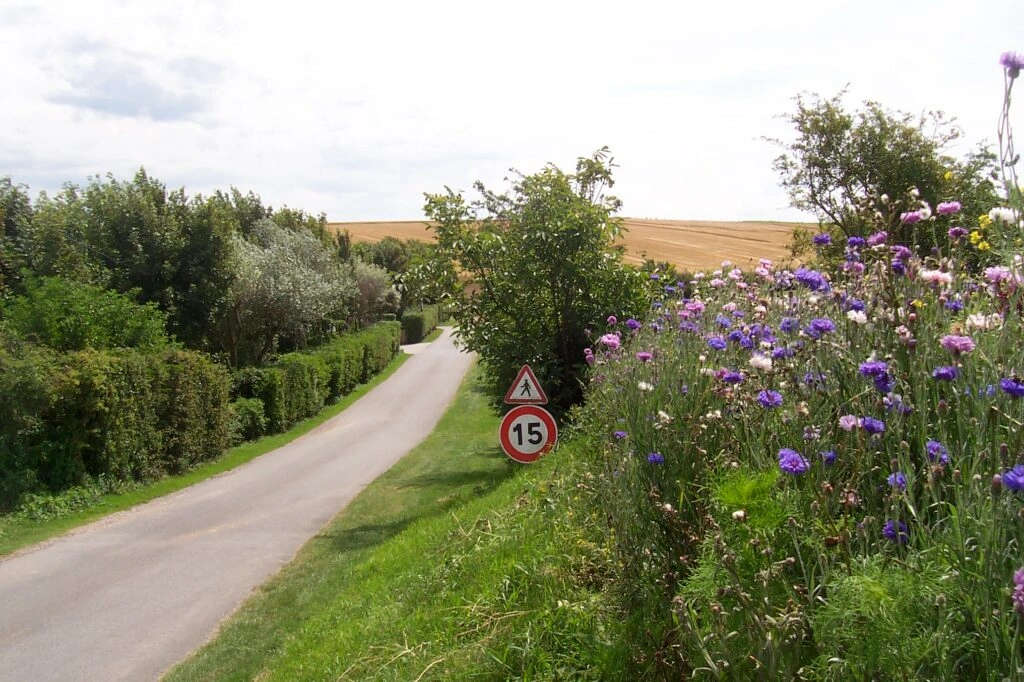 Allées du camping