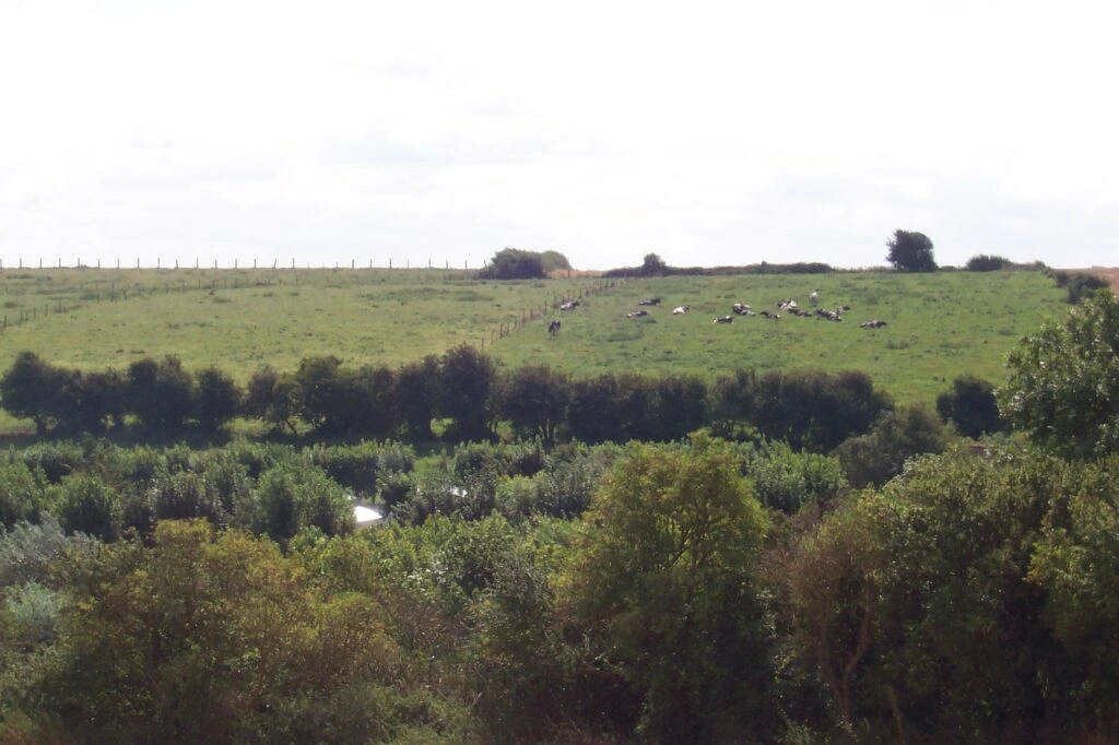 Zone de détente