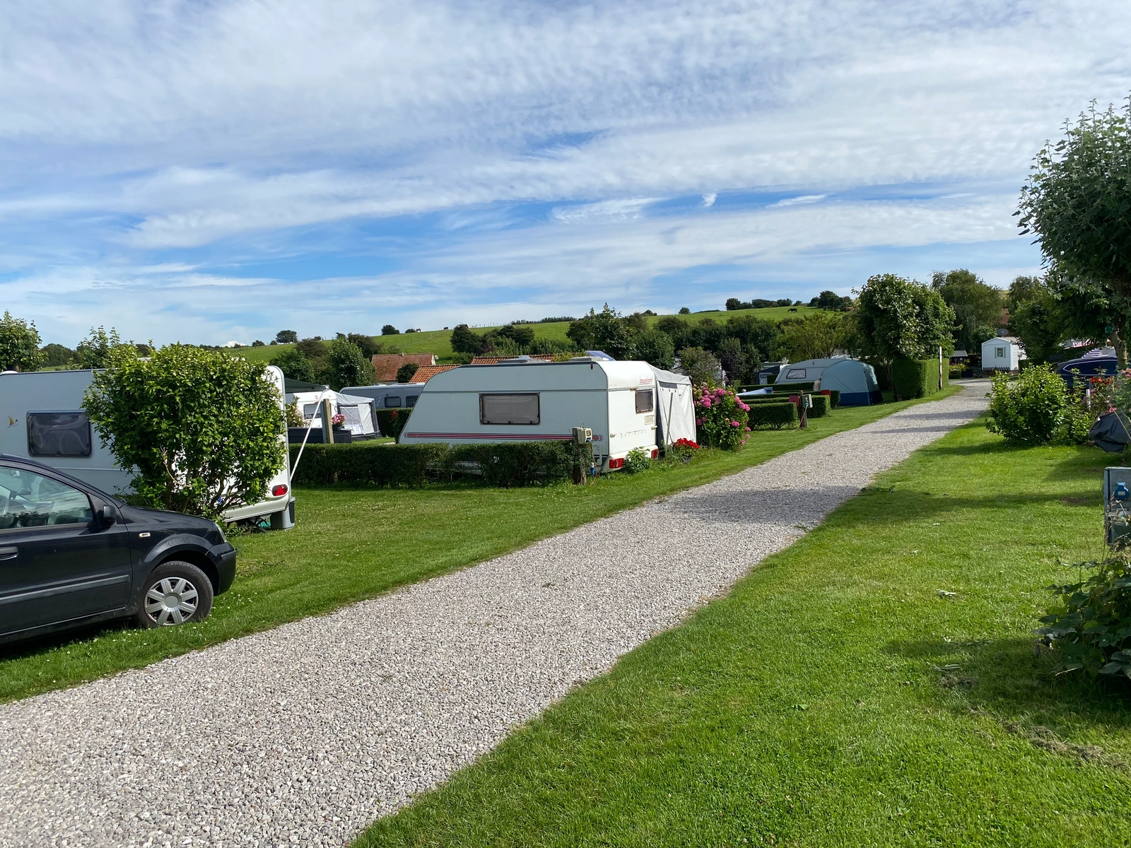 Espaces verts du camping